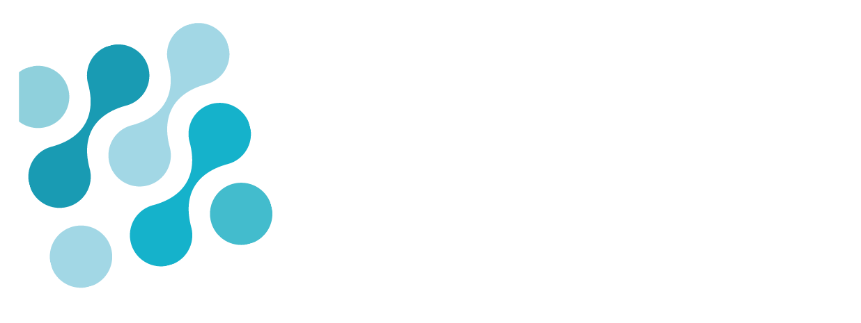 pesit.com